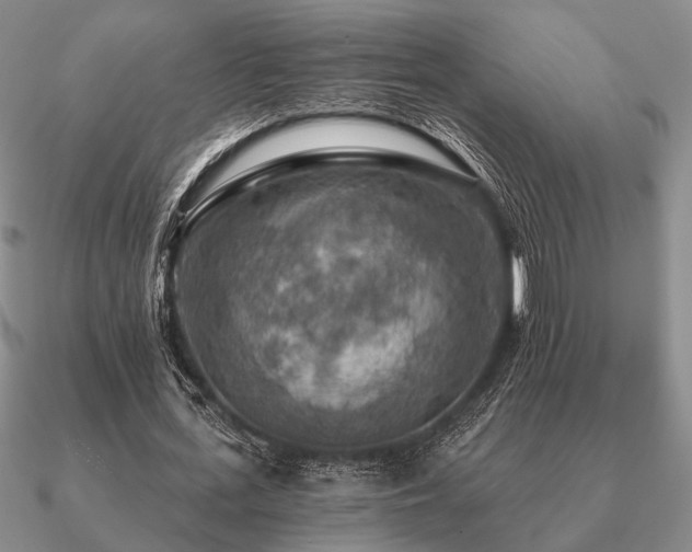 X0000090910723200708061522