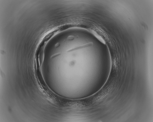 X0000090910724200708061522