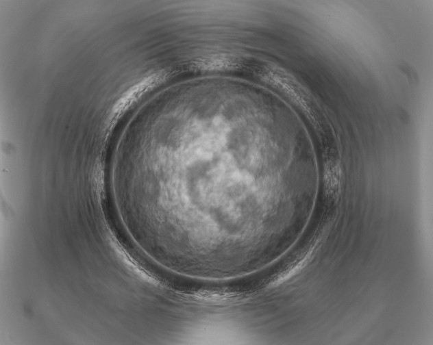 X0000090910725200708061522