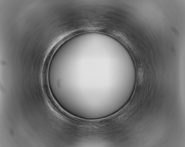 X0000090910726200708061522