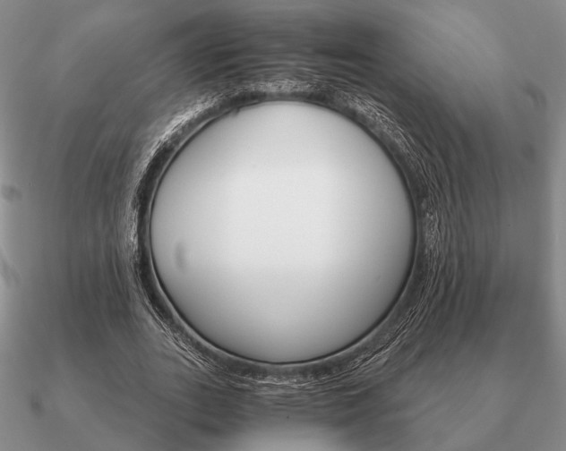 X0000090910727200708061522