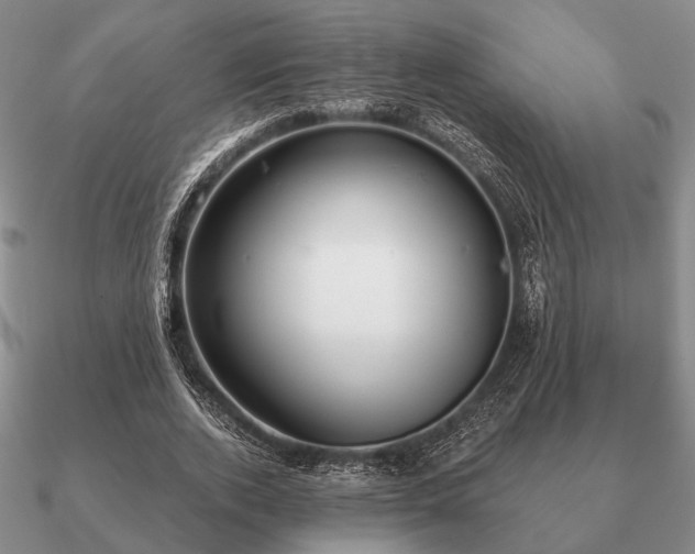 X0000090910728200708061522