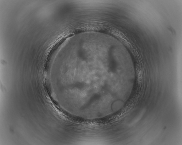 X0000090910729200708061522