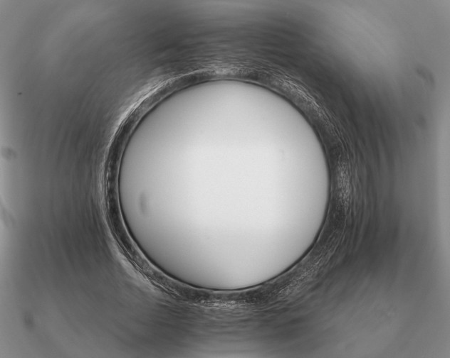 X0000090910730200708061522