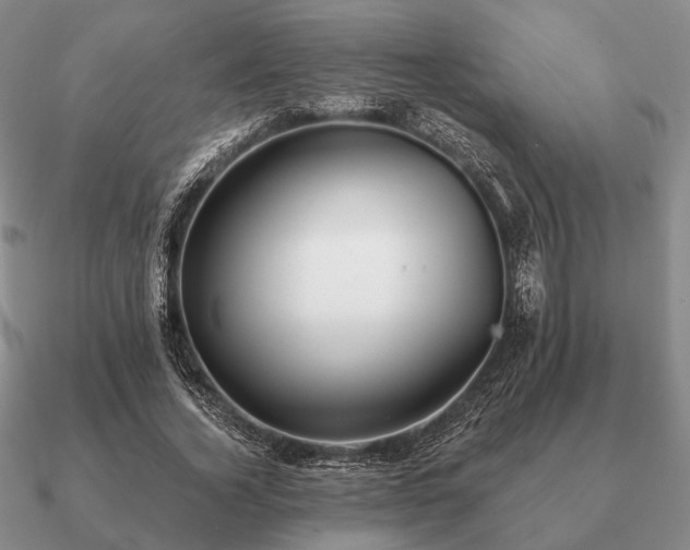 X0000090910732200708061522