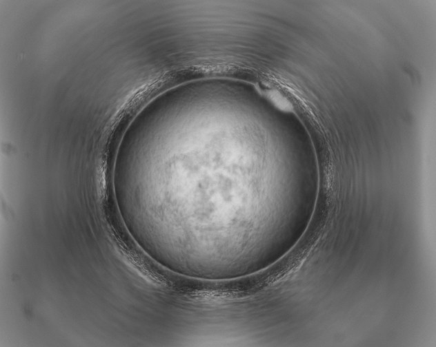 X0000090910733200708061522