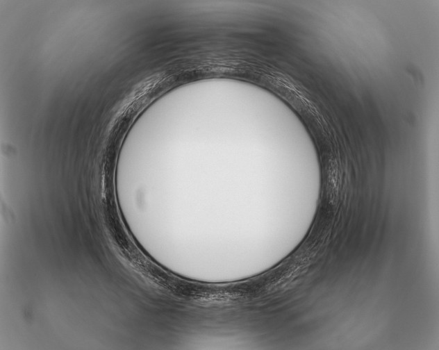 X0000090910734200708061522