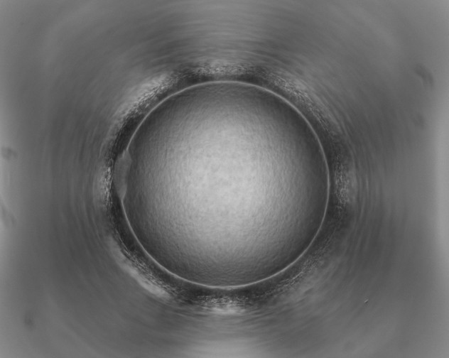 X0000090910735200708061522