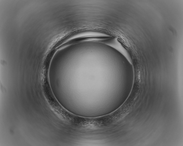 X0000090910736200708061522