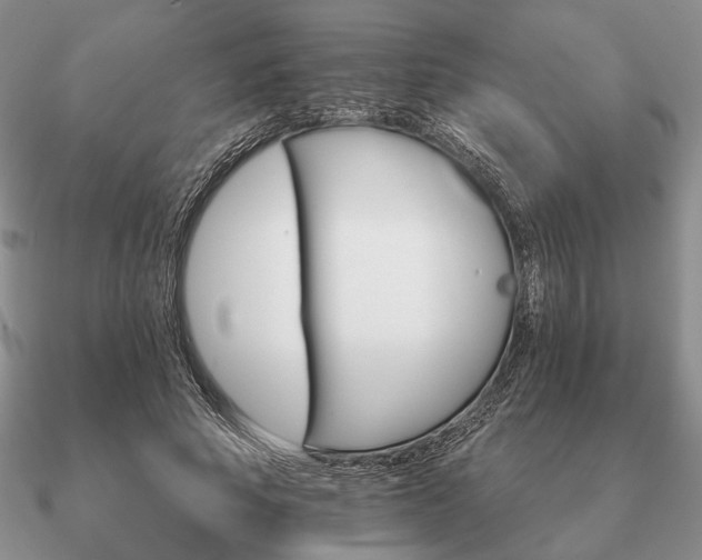 X0000090910737200708061522