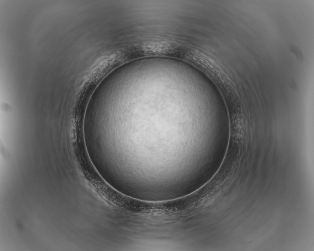 X0000090910738200708061522