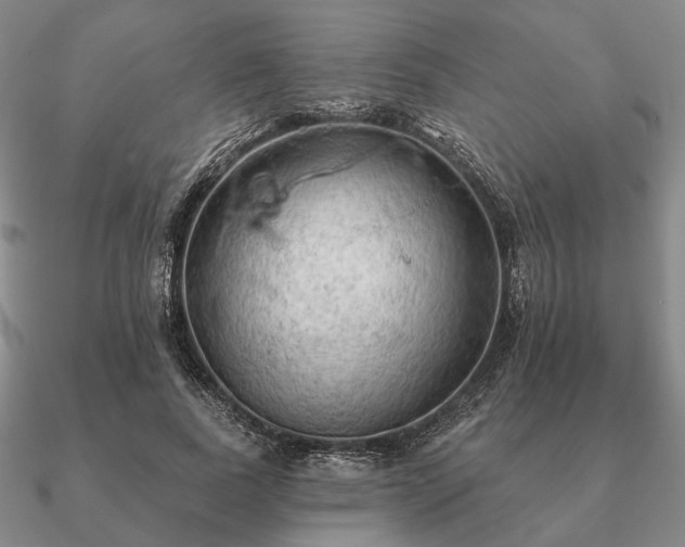 X0000090910739200708061522