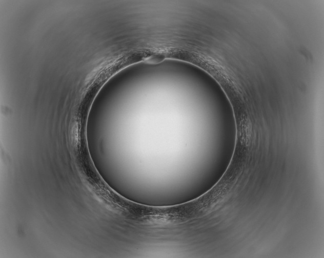 X0000090910740200708061522