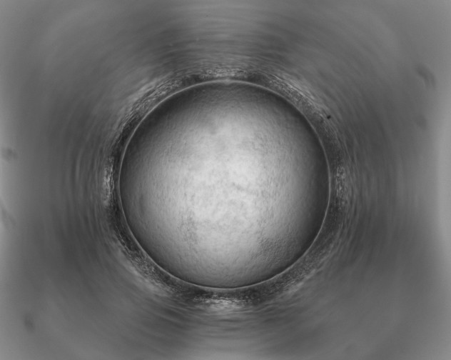 X0000090910741200708061522