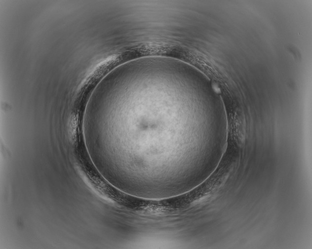 X0000090910742200708061522