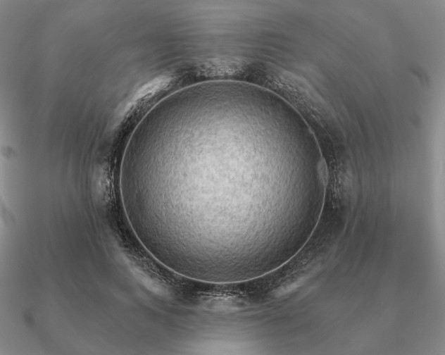 X0000090910743200708061522