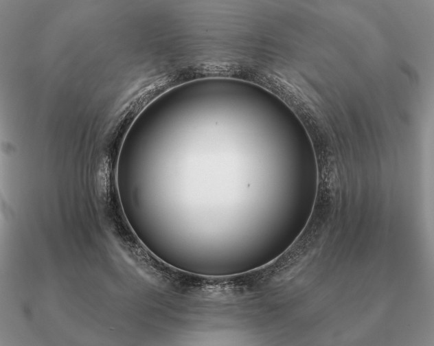 X0000090910744200708061522