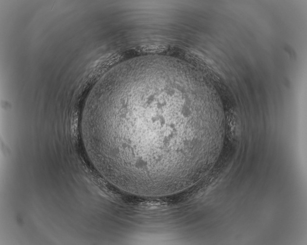 X0000090910745200708061522