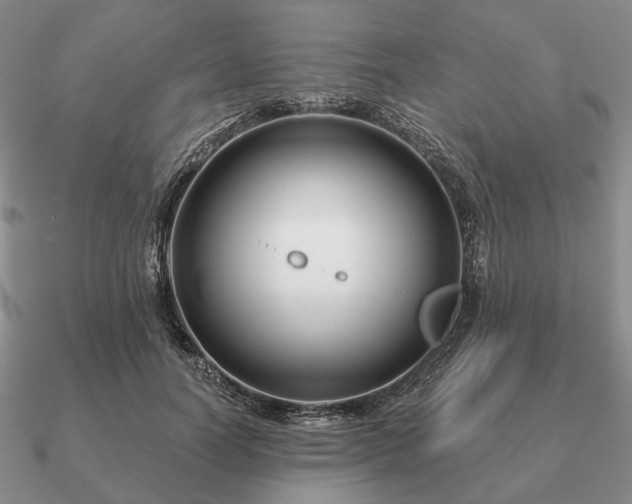 X0000090910746200708061522