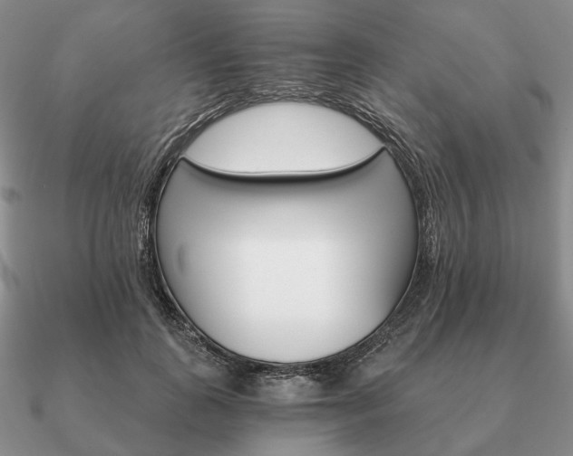 X0000090910747200708061522