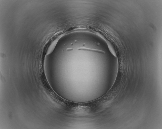 X0000090910748200708061522