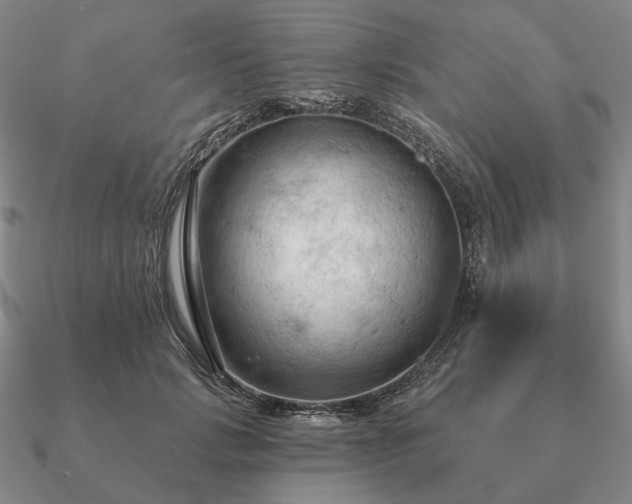 X0000090910749200708061522