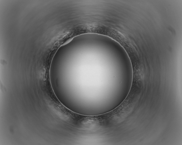 X0000090910750200708061522