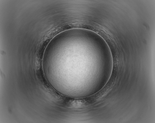 X0000090910751200708061522