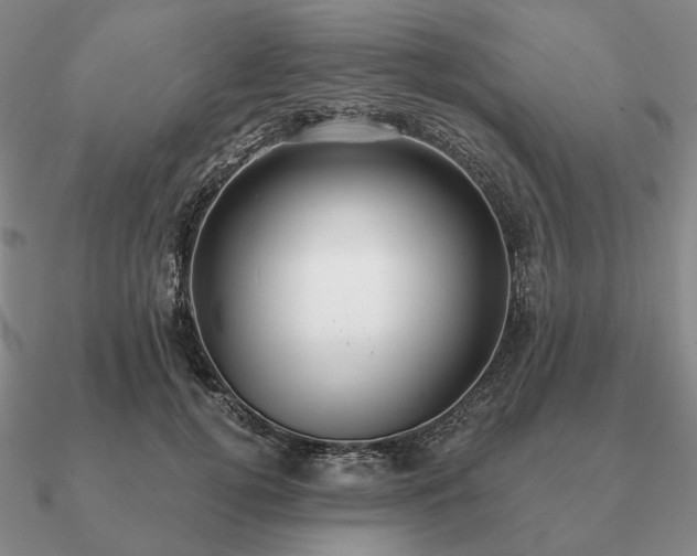 X0000090910752200708061522