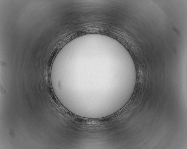 X0000090910753200708061522