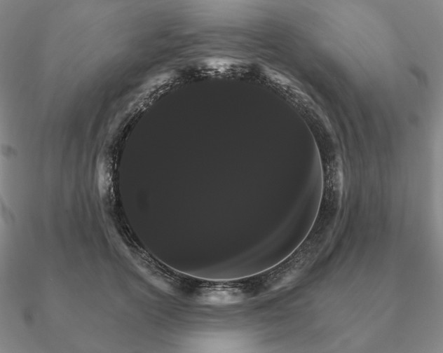 X0000090910754200708061522