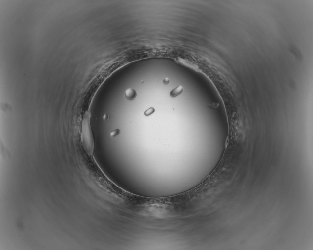 X0000090910756200708061522