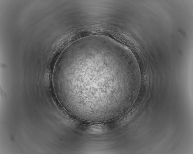 X0000090910757200708061522