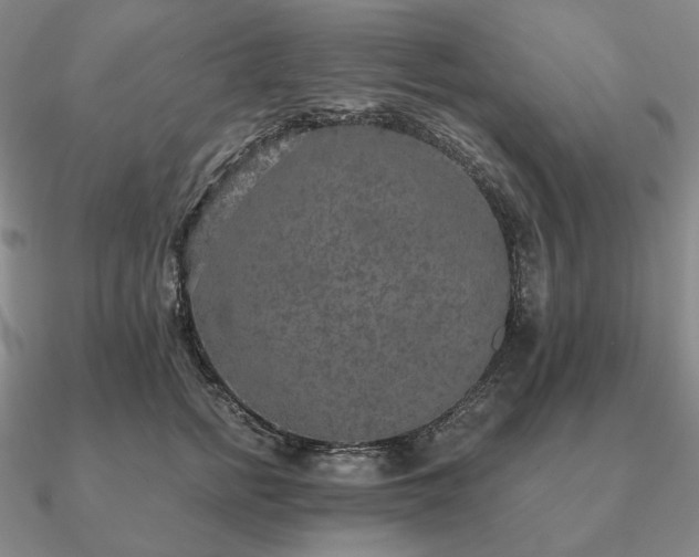 X0000090910758200708061522