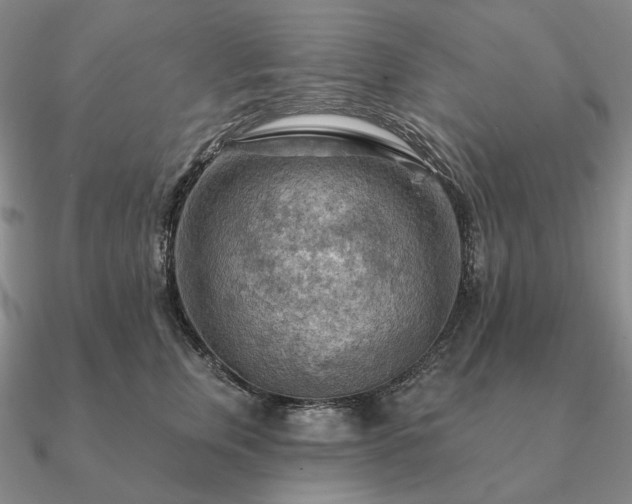 X0000090910759200708061522