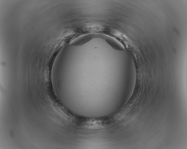 X0000090910760200708061522