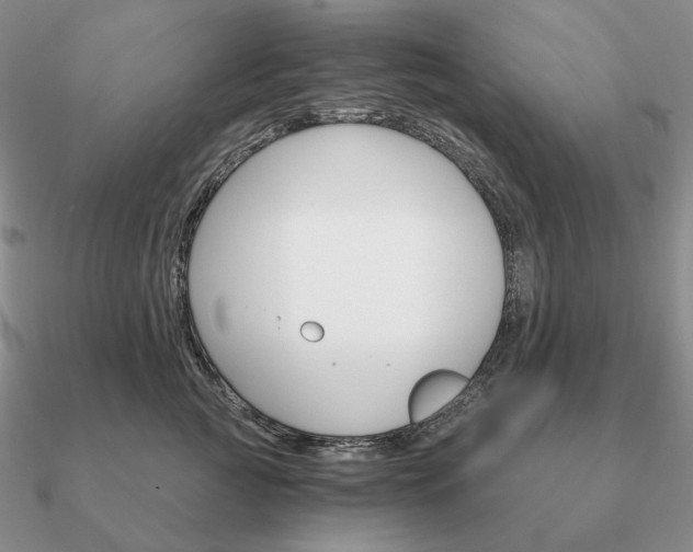 X0000090910761200708061522