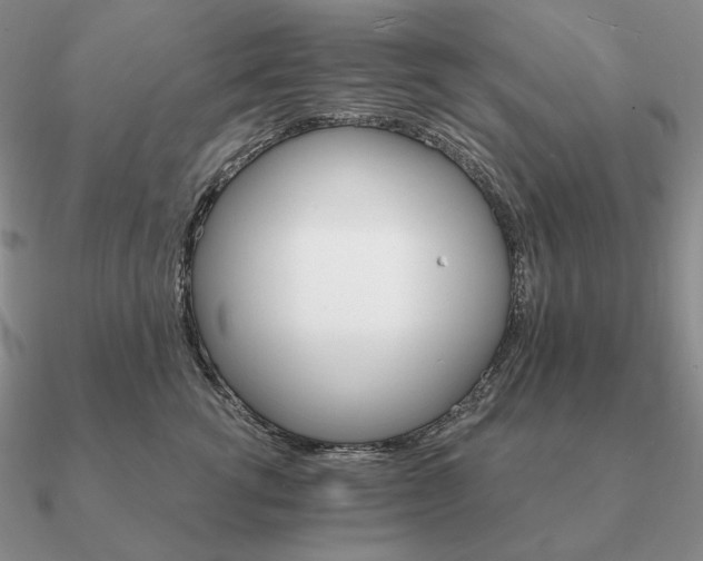 X0000090910762200708061522