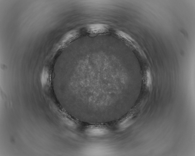 X0000090910763200708061522