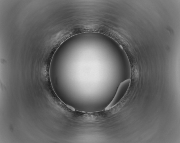 X0000090910764200708061522