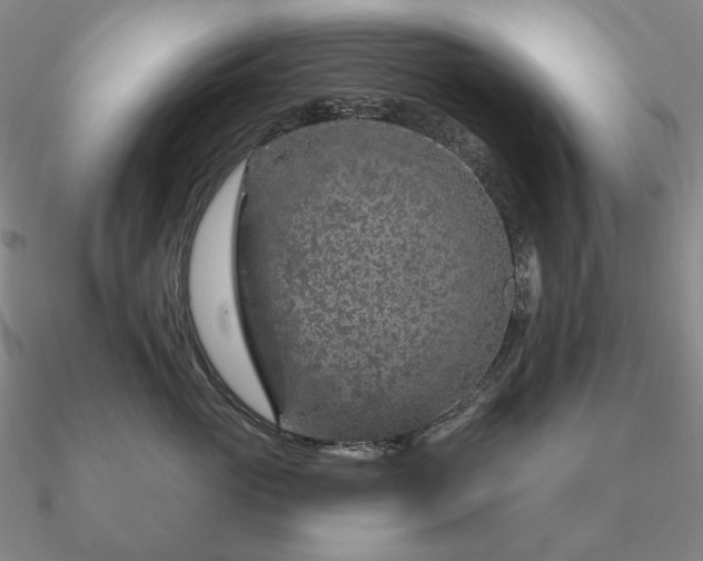 X0000090910765200708061522