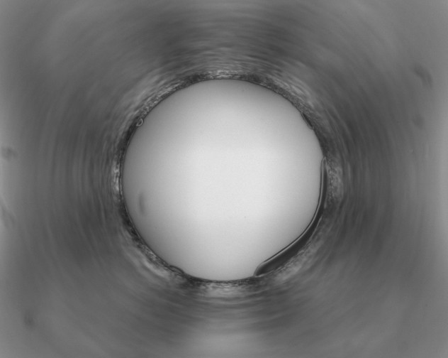 X0000090910766200708061522