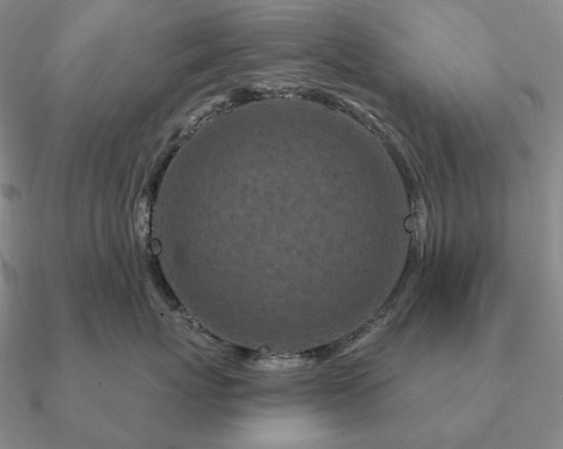 X0000090910767200708061522