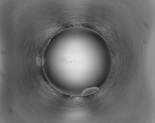 X0000090910768200708061522