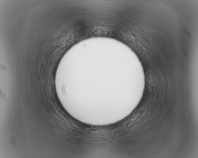 X0000090910769200708061522