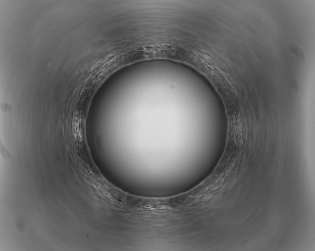 X0000090910770200708061522