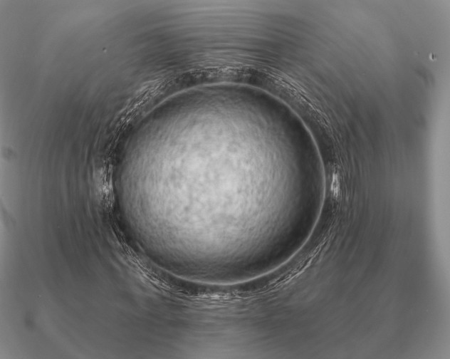 X0000090910771200708061522