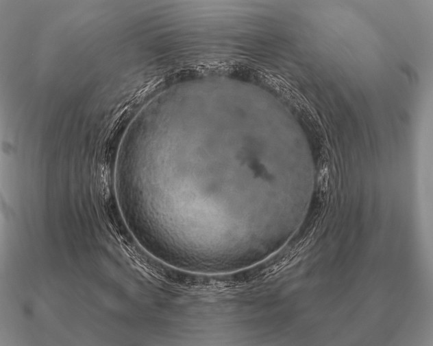 X0000090910772200708061522