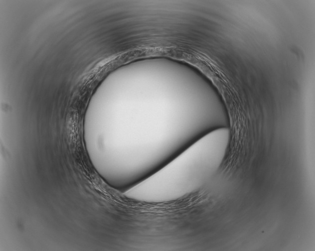 X0000090910773200708061522