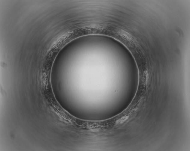 X0000090910774200708061522